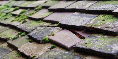 Brechfa roof repair costs